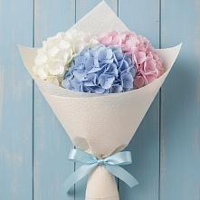 Букет цветов из:  Гортензия в Алексеевском Ставропольского края