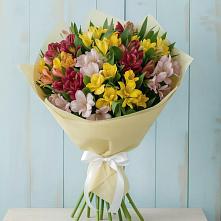 Букет цветов из:  Альстромерии в Алексеевском Ставропольского края