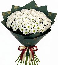 Букет цветов из:  Хризантемы #REPLACE_PRED# Алексеевском Ставропольского края