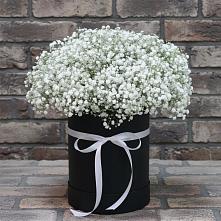 Цветочная композиция из Гипсофила в шляпной коробке #REPLACE_PRED# Алексеевском Ставропольского края