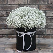 Цветочная композиция из Гипсофила в шляпной коробке в Алексеевском Ставропольского края