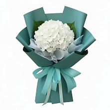 Букет цветов из:  Гортензия в Алексеевском Ставропольского края